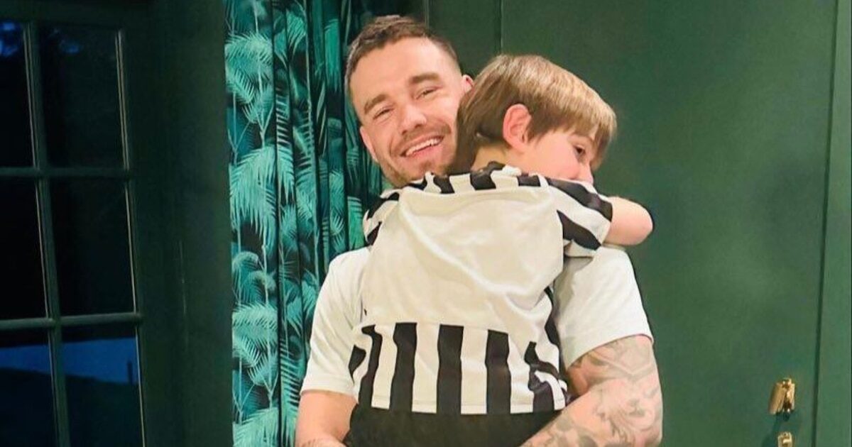 Bear Payne hereda fortuna de Liam Payne