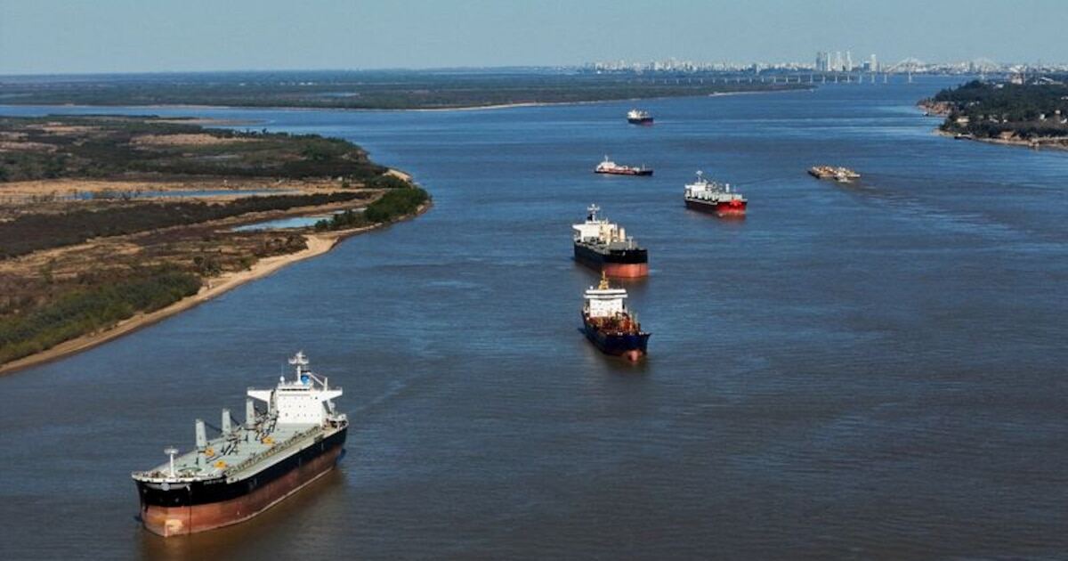 La Hidrovía, principal vía de comercio exterior de Argentina