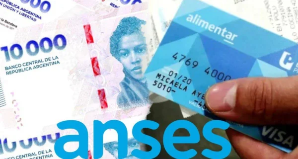 Familias argentinas reciben asistencia de ANSES