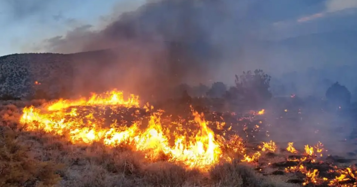 Incendios forestales en el oeste de EE.UU. con bomberos luchando contra las llamas