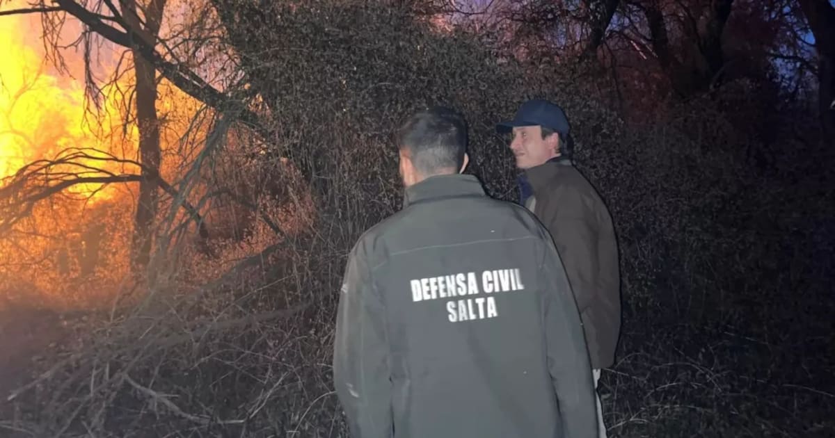 Incendio forestal en Cafayate, Salta