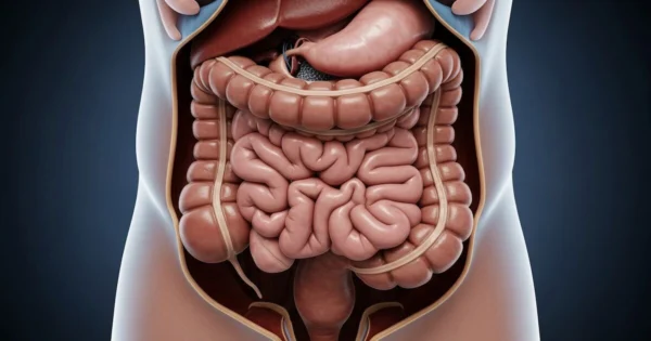 Imagen ilustrativa sobre el megacolon y su diagnóstico