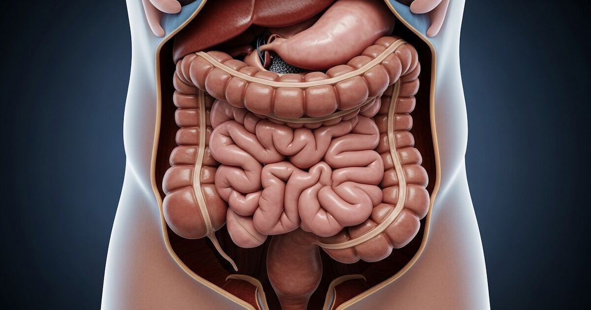 Imagen ilustrativa sobre el megacolon y su diagnóstico