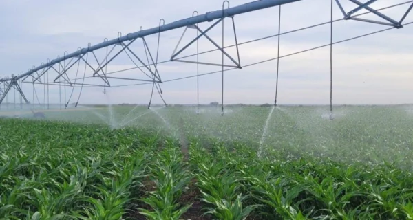 Obras de riego en Río Negro para fortalecer la producción agrícola