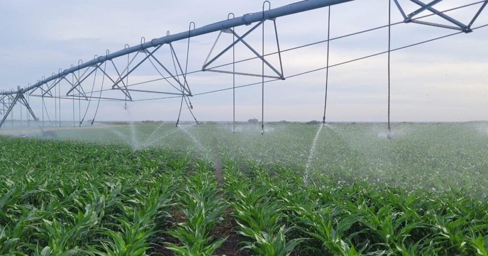 Obras de riego en Río Negro para fortalecer la producción agrícola
