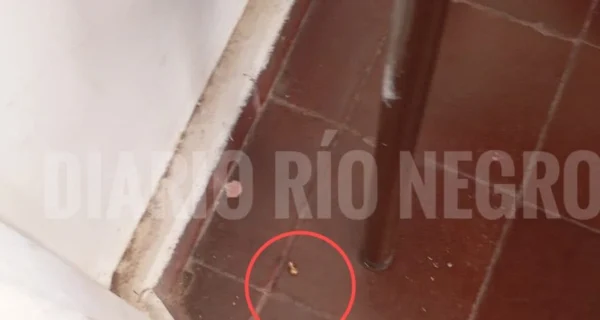 Escuela CPEM N.º 6 en Cutral Co donde ocurrió el incidente