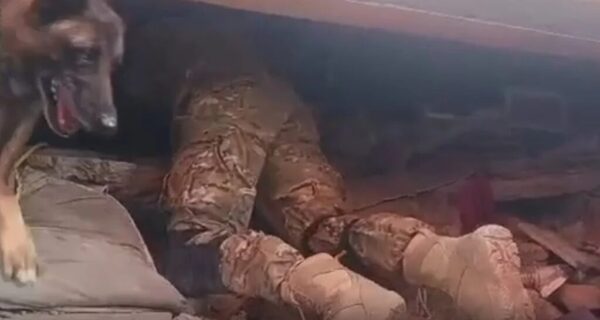 Perro de rescate argentino Bart durante la operación en Venezuela