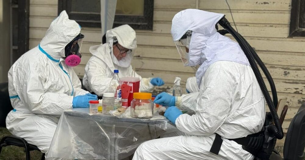 Investigadores del Malbrán en campo estudiando roedores en Tierra del Fuego