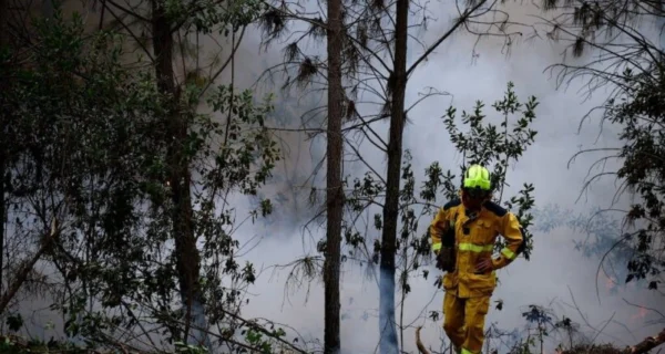 Incendios forestales en Europa