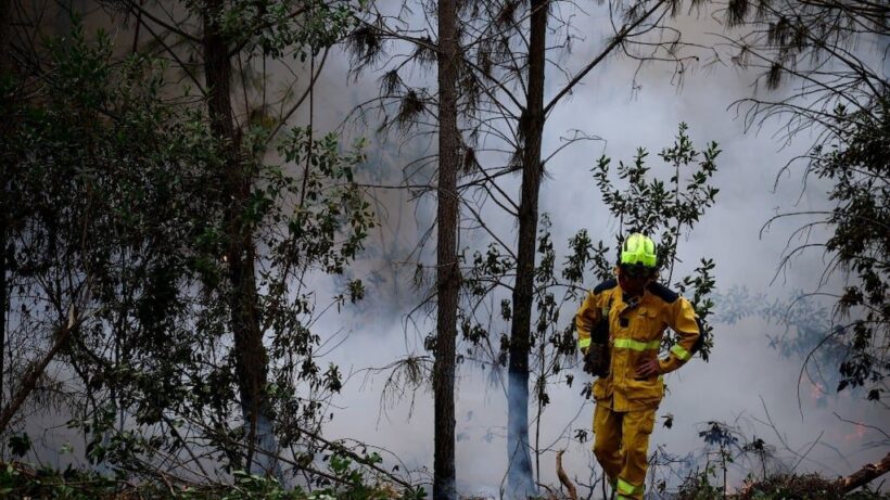 Incendios forestales en Europa