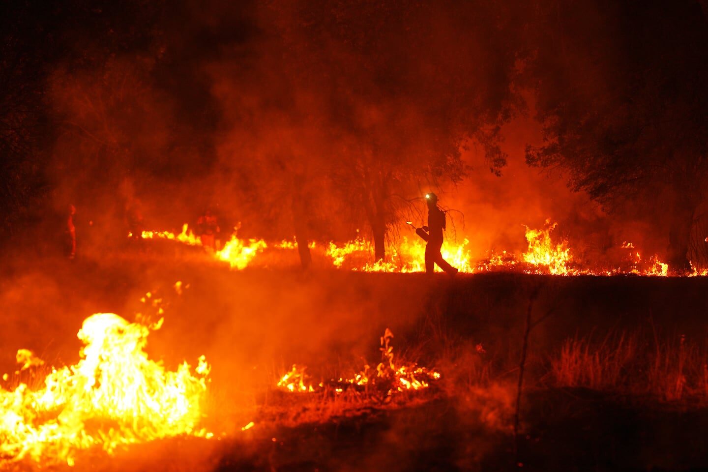 Incendios en Europa: Grecia, Portugal, Inglaterra y Turquía enfrentan llamas devastadoras