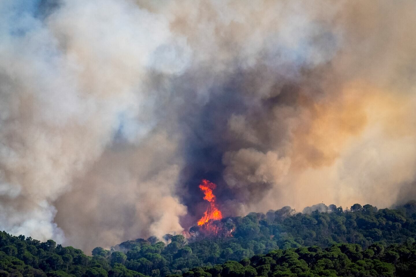 Incendios forestales arrasan más de 19.000 hectáreas en Francia, España y Portugal por ola de calor