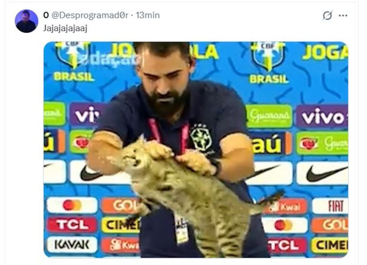 LOS MEJORES MEMES DE LA DERROTA DE BRASIL ANTE NORUEGA