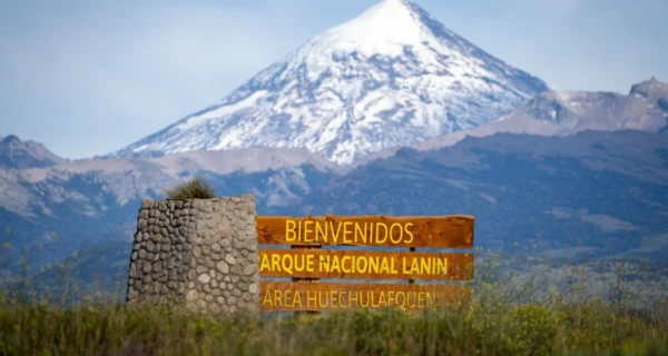 Alberto Marasco, nuevo intendente del Parque Nacional Lanín, en su oficina