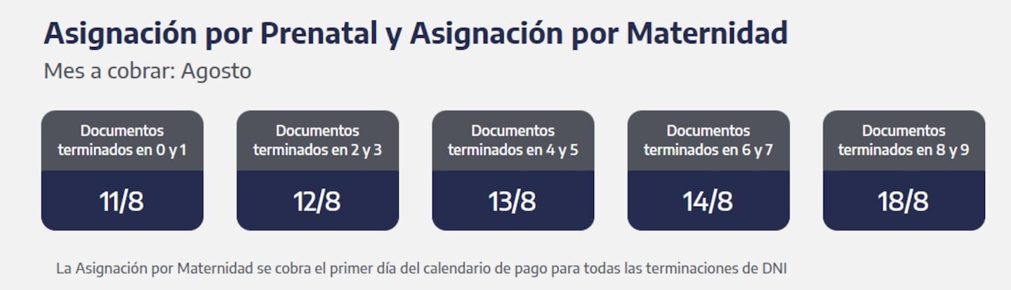 ANSES: Beneficiarios de jubilaciones, AUH y asignaciones para el 14 de agosto