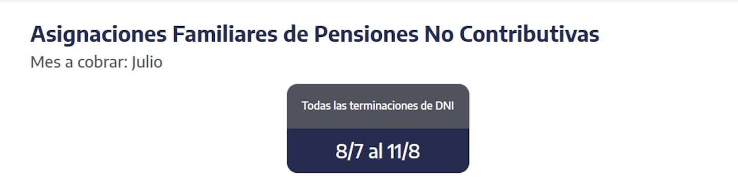 ANSES: pagos de jubilaciones, AUH y asignaciones para el 5 de agosto