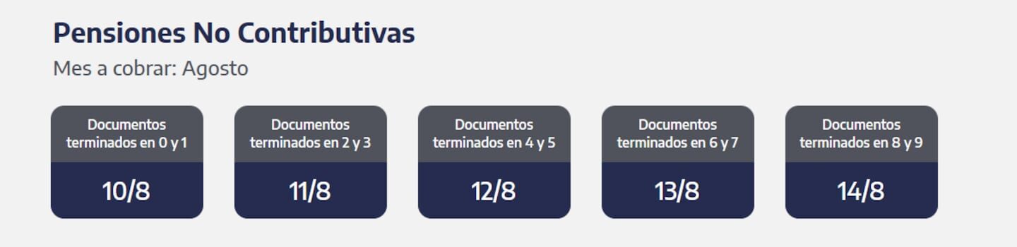 ANSES: pagos de jubilaciones, AUH y asignaciones para el lunes 10 de agosto