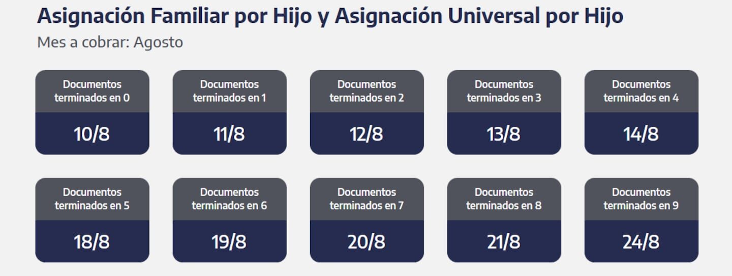 ANSES: pagos de jubilaciones, AUH y asignaciones para el lunes 10 de agosto