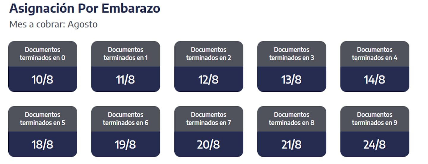 ANSES: pagos de jubilaciones, AUH y asignaciones para el lunes 10 de agosto