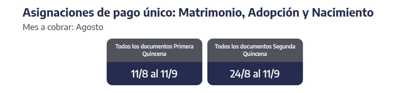 ANSES: pagos de jubilaciones, AUH y asignaciones para el lunes 10 de agosto