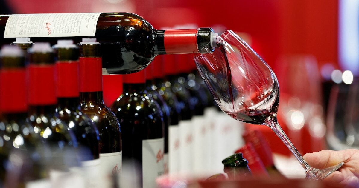 Viñedos en Mendoza
