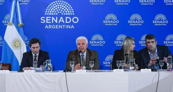 Debate en el Senado sobre el super-RIGI