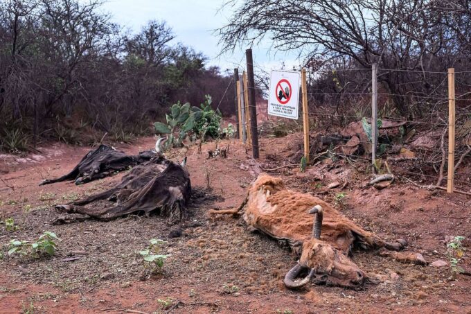 Vecinos de Salta denuncian devastación ambiental por pozo petrolero mal cerrado
